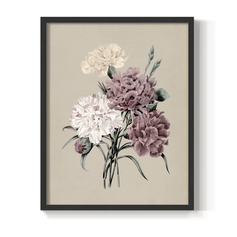 Antique Botanical I, reproduction encadrée - bois massif, H 15 po x l 12 po, Noir, noir, noir, noir
