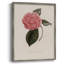 Impression florale vintage encadrée CXLI - bois massif-402371148