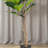 59" Artificial Fiddle Leaf Fig Tree 