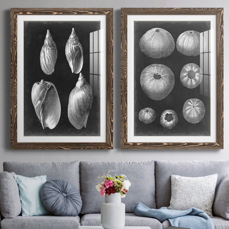 Alabaster Shells II, reproduction d'art encadrée - prête à être accrochée, H 31,5 po x l 47 po x P 1,5 po