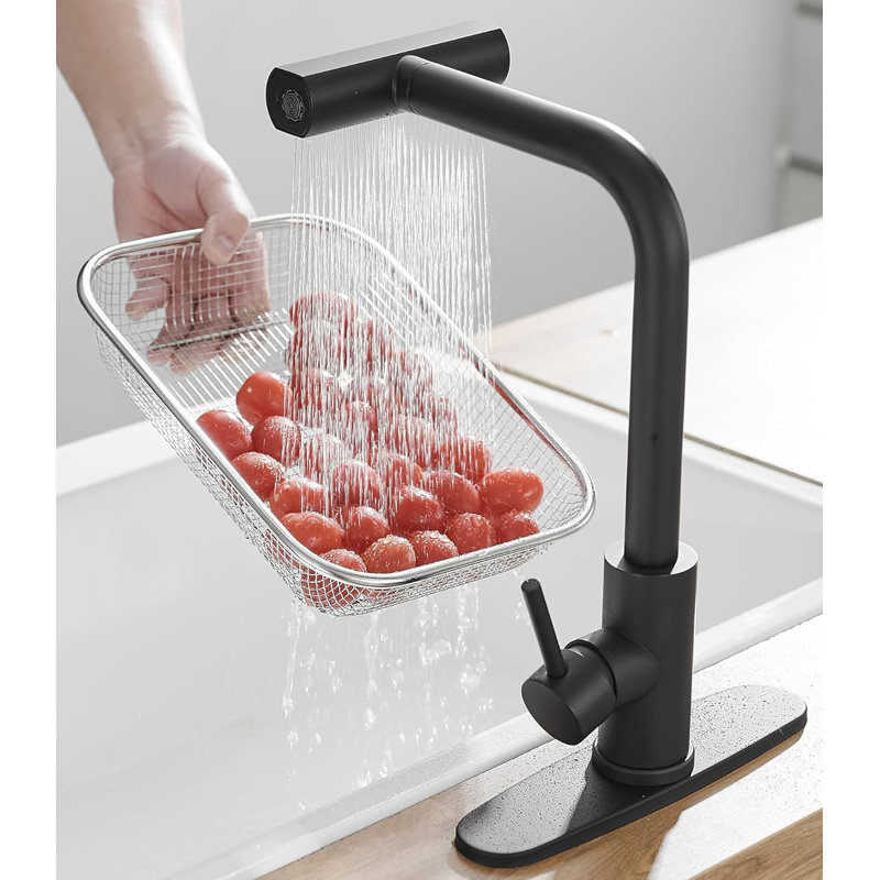 Matte Black Stainless Steel Kitchen Faucet with Pull-out Spray