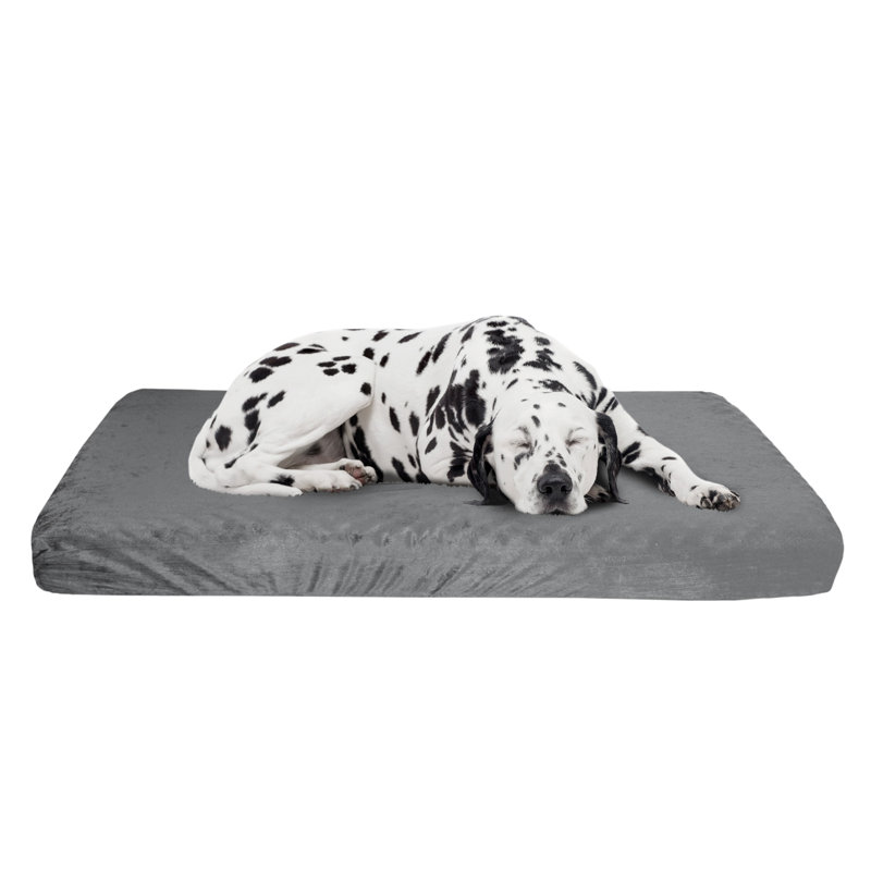 PETMAKER Memory Foam Dog Bed – 2-Layer Orthopedic Dog Bed with Machine Washable Cover, Large (27" W x 46" D x 4" H), Gray