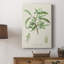 Amande antique botanique III - galerie Cavas sur mesure-1320760976