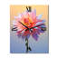 Horloge murale Camillah - Dahlia-1797568567