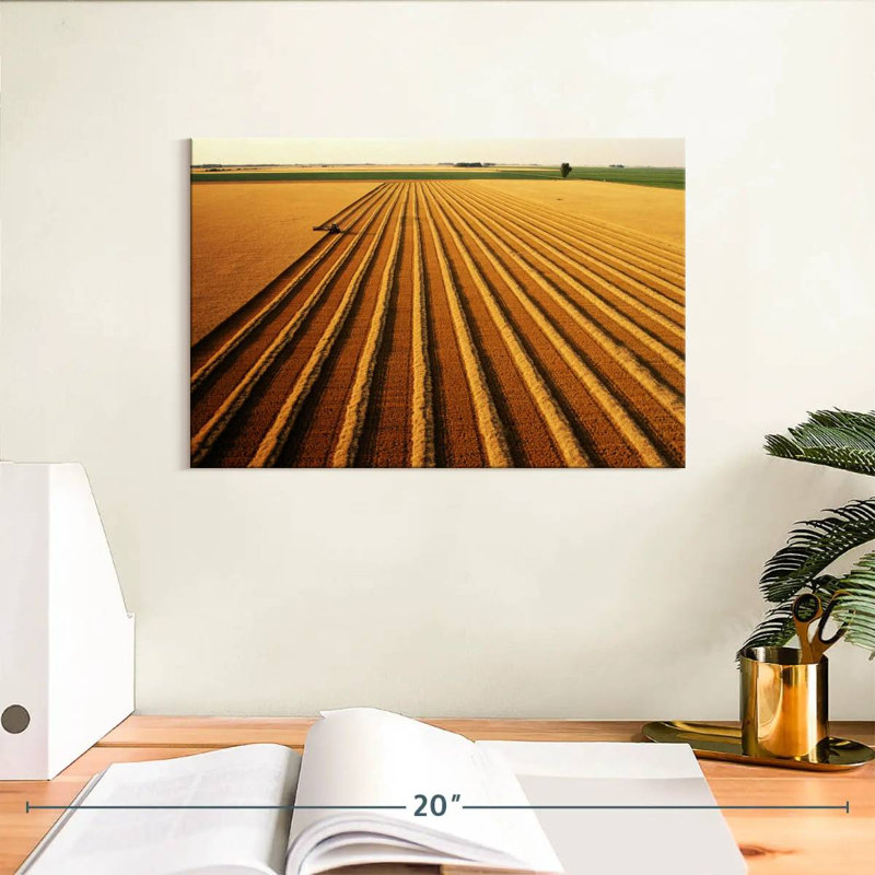 Harnek Wheat Field Lines, H 8 po x l 12 po