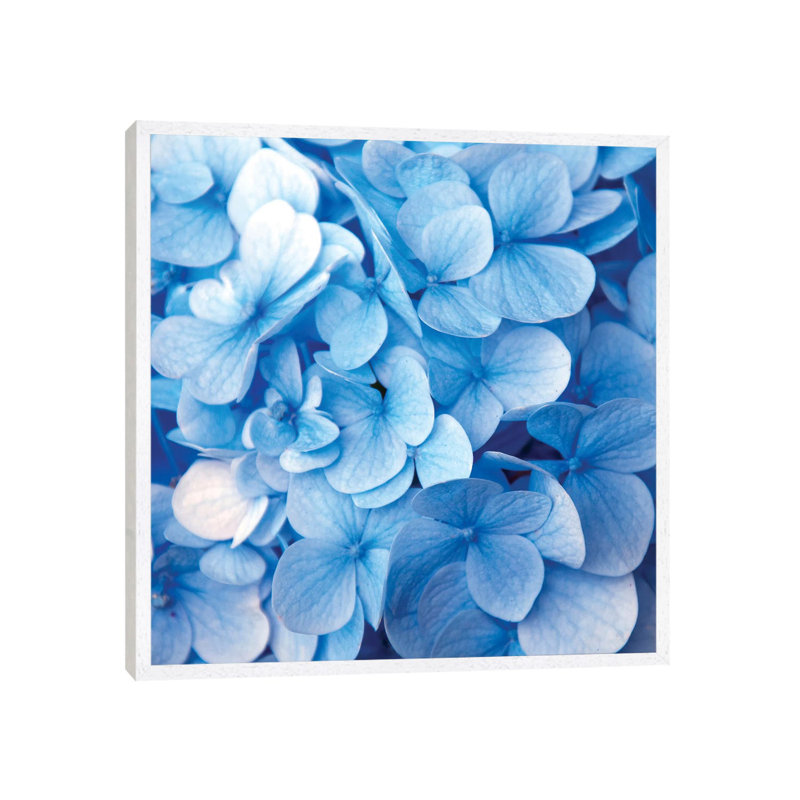 Blue Flowers 1 Piece Wall Art on Canvas, 66.04 cm H x 66.04 cm W, White Framed