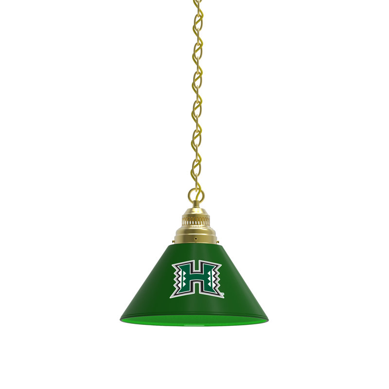 1 - Light Single Pendant, Brass, Hawaii Rainbow Warriors