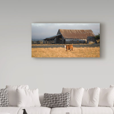 Breonna 'Cow Portrait' Photographic Print on Wrapped Canvas