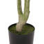 Eucalyptus artificiel en pot-111988975