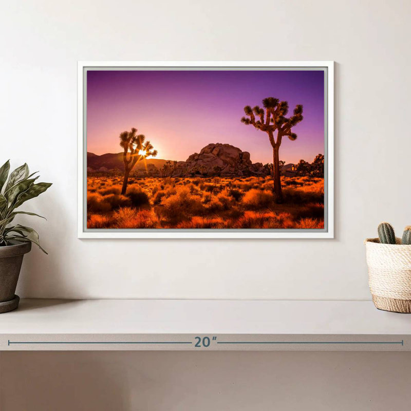 Arbres Joshua ensoleillés, Cadre flottant blanc, 13 po x 9 po