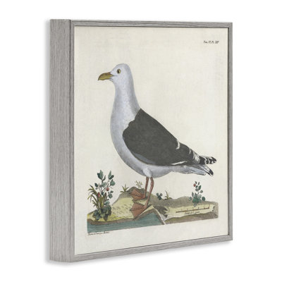 Étude de mouette rétro, giclée, conception par Phillipa Katz