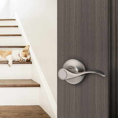 Passage (Hall & Closet) Door Lever