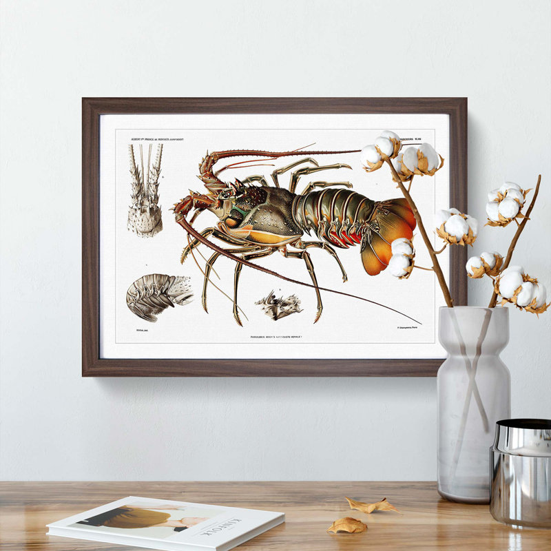 European Lobster by Albert I - Picture Frame Painting Print, Walnut Framed, 27cm H x 36cm W x 2cm D