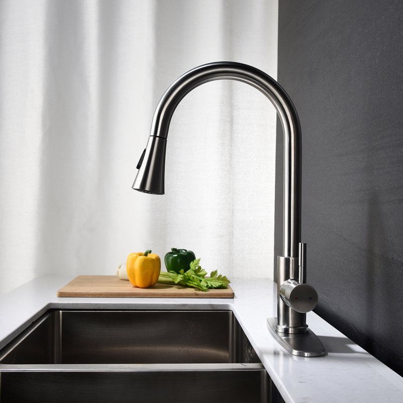 Aodisman Pull Out Kitchen Faucet