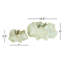 Molly Ceramic Pot Planter - Set of 2