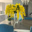 Fleurs et tiges de glycine-479851256