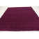 Capwell Performance Indoor Rug