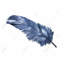 Plume bleue, reproduction sur toile