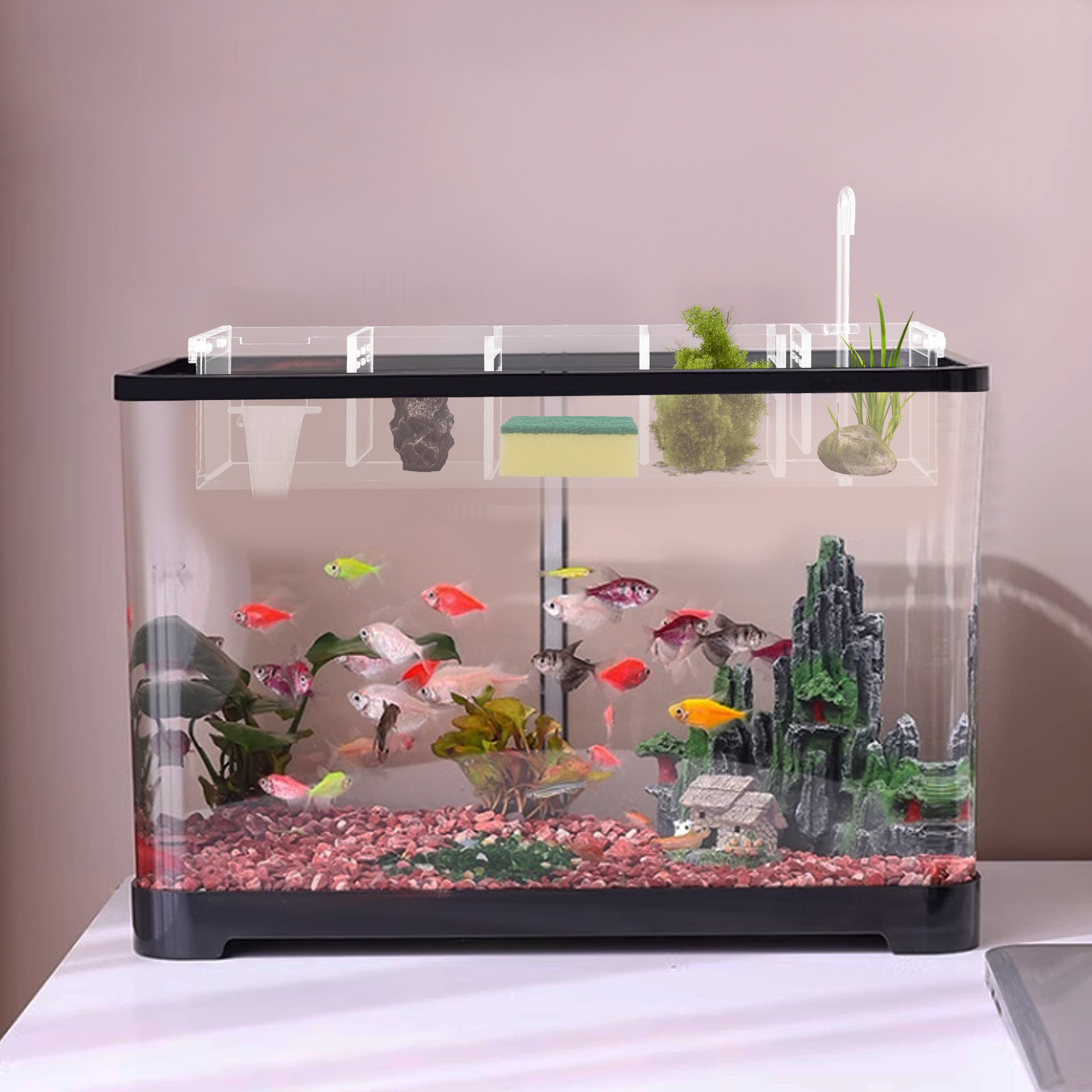 Custom, LED and Acrylic oxygen pump Aquariums 