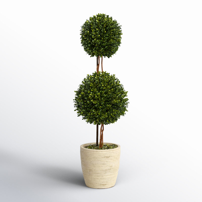 Preserved Boxwood Double Ball Topiary in Pot, 28" H x 8.5" W x 8.5" D