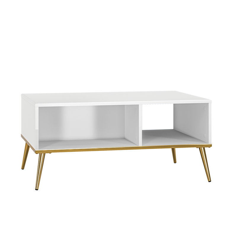 Amyna Four Leg Coffee Table with Storage
