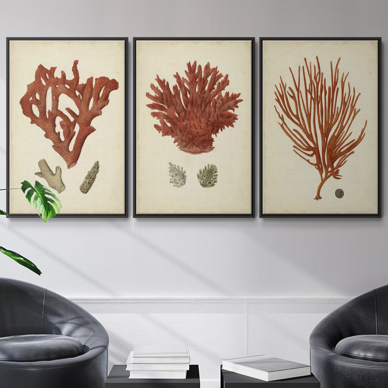 " Shell Collection IV " 3 - Pieces, Black, 36" H x 72" W