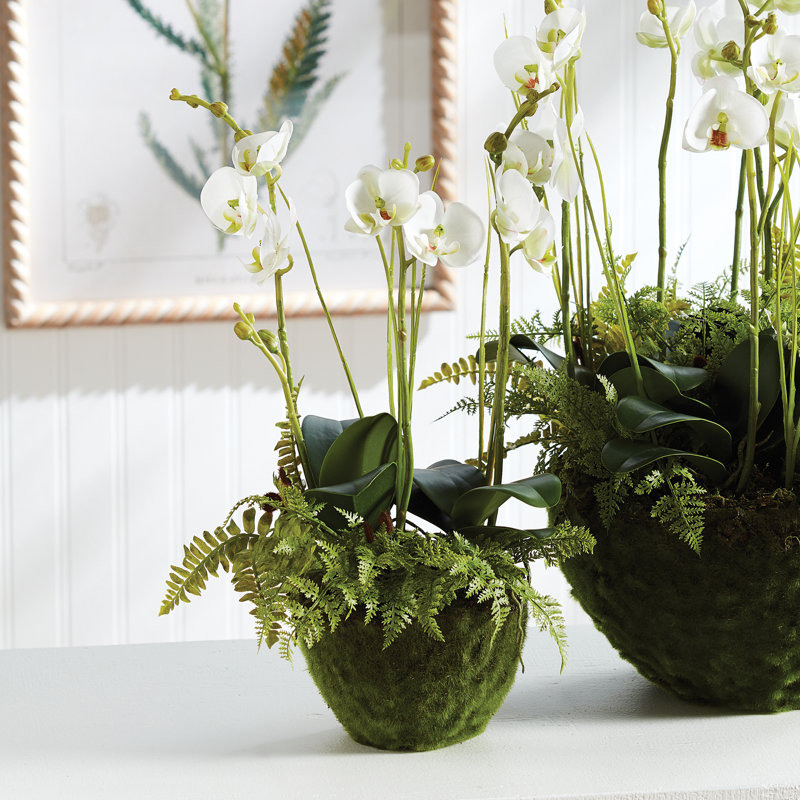 Orchid & Fern Drop-In 18"