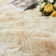 Machine Tufted Shag Area Rug