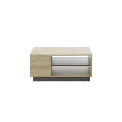 Burleson Solid Coffee Table with Storage