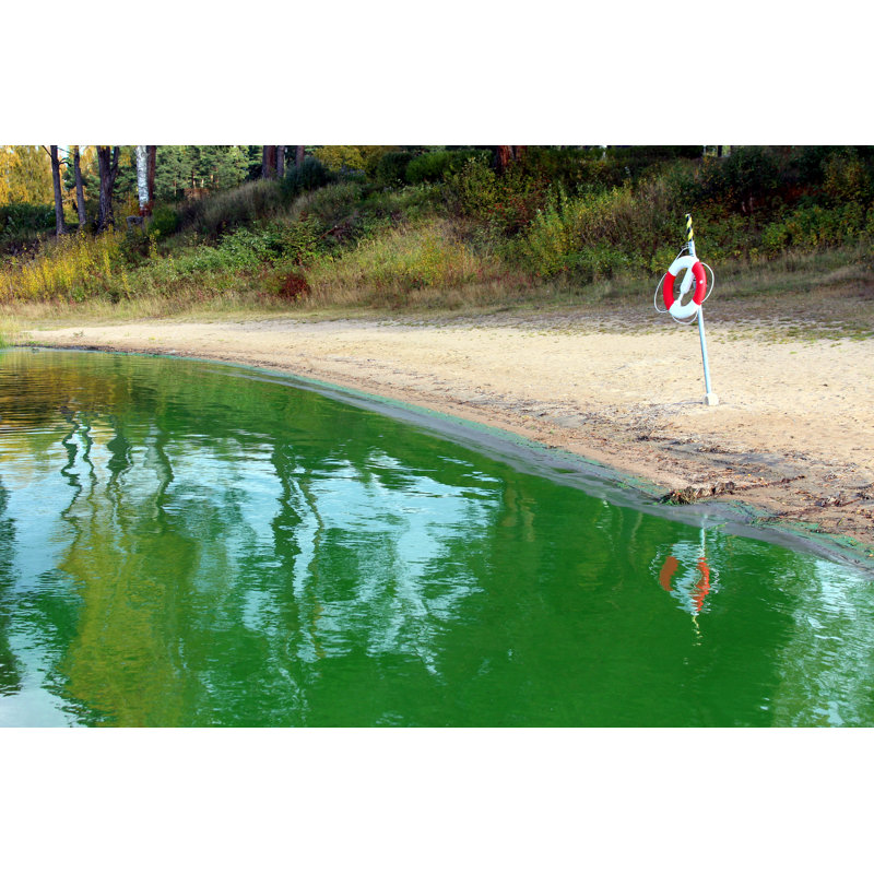 Beach In A Freshwater by Wiljoj - Wrapped Canvas Print, 30cm H x 46cm W x 3.8cm D