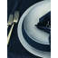 TAC Porcelain Dinner Plate-721102187