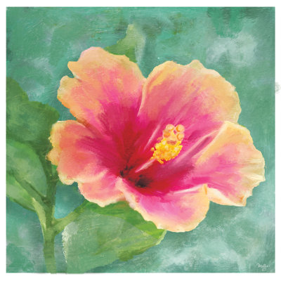 Hibiscus by Mollie B. - Print