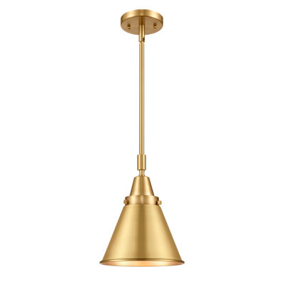 Luminaire suspendu simple à 1 lumière Caldecote
