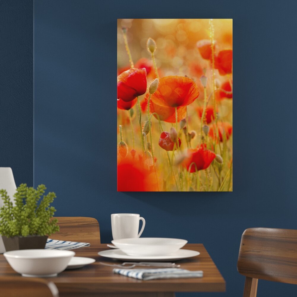 Leinwandbild Poppies, Fotodruck