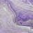 Machine Washable Indoor/Outdoor Cinead ACN1681 Purple Rug-104403580