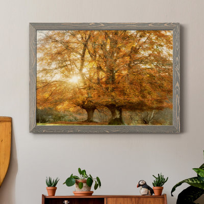 " Couple of Beeches " Color Photography Print