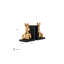 Cony Bookends