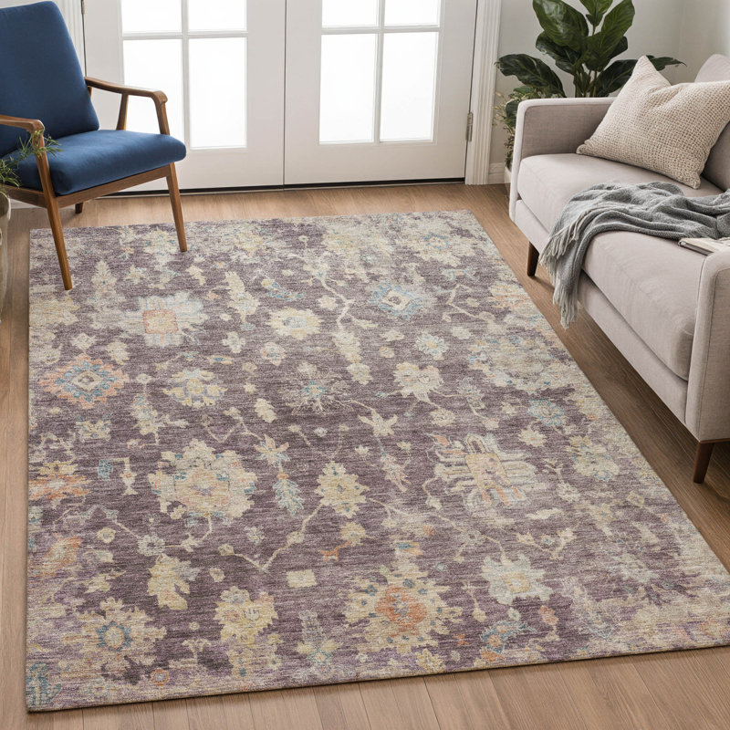 Machine Washable Indoor/Outdoor Francky ACN2355 Traditional Rug, Rectangle 10' x 14'