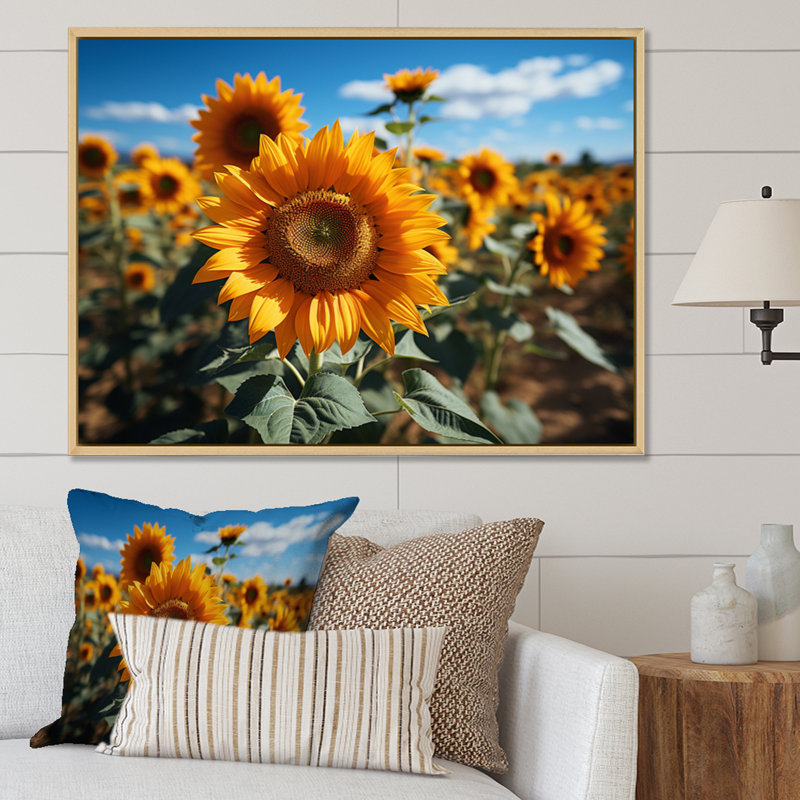 Tournesols jaune champ vibrant II, H 12 po x l 20 po x P 1 po, Cadre naturel flottant
