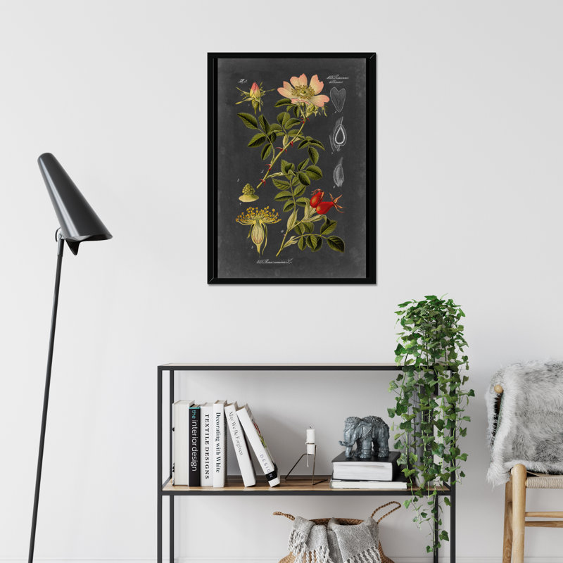 Midnight Botanical I by Vision Studio - Print, Black Framed Paper Print, 50cm H x 34cm W