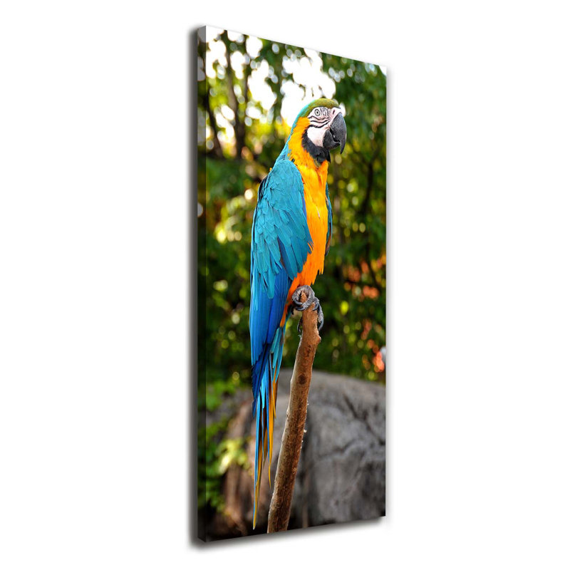 Ara Parrot - Wrapped Canvas Print