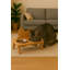 Pet Food Bowl