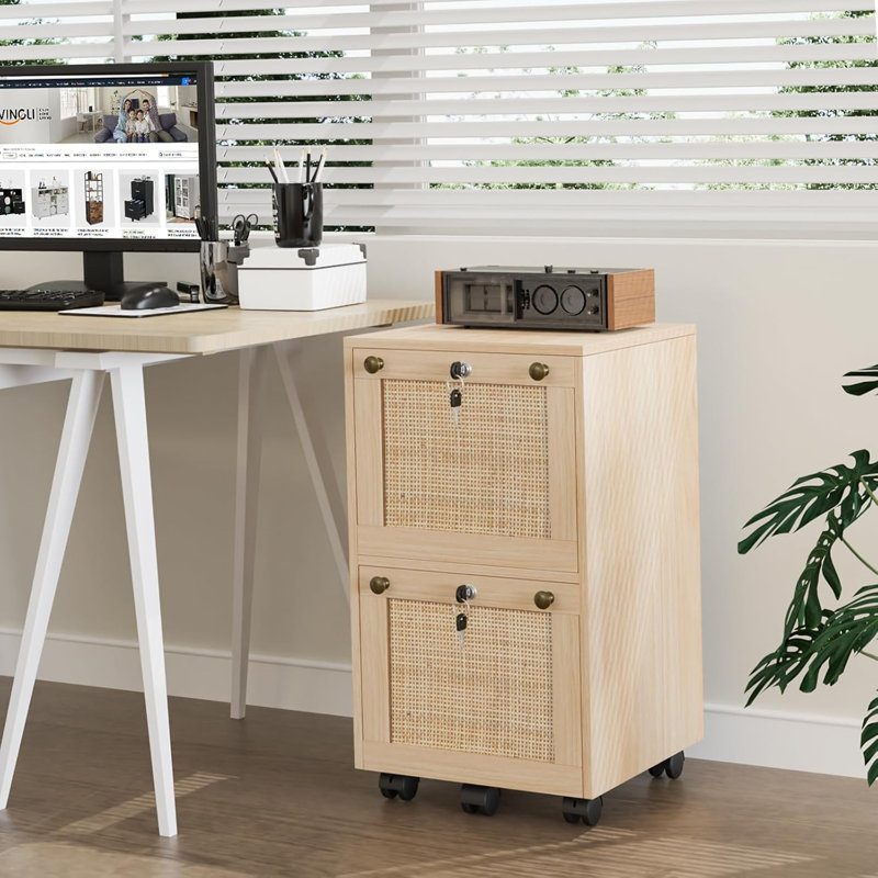 Aristeidis 15.75'' Wide 2 -Drawer Mobile File Cabinet