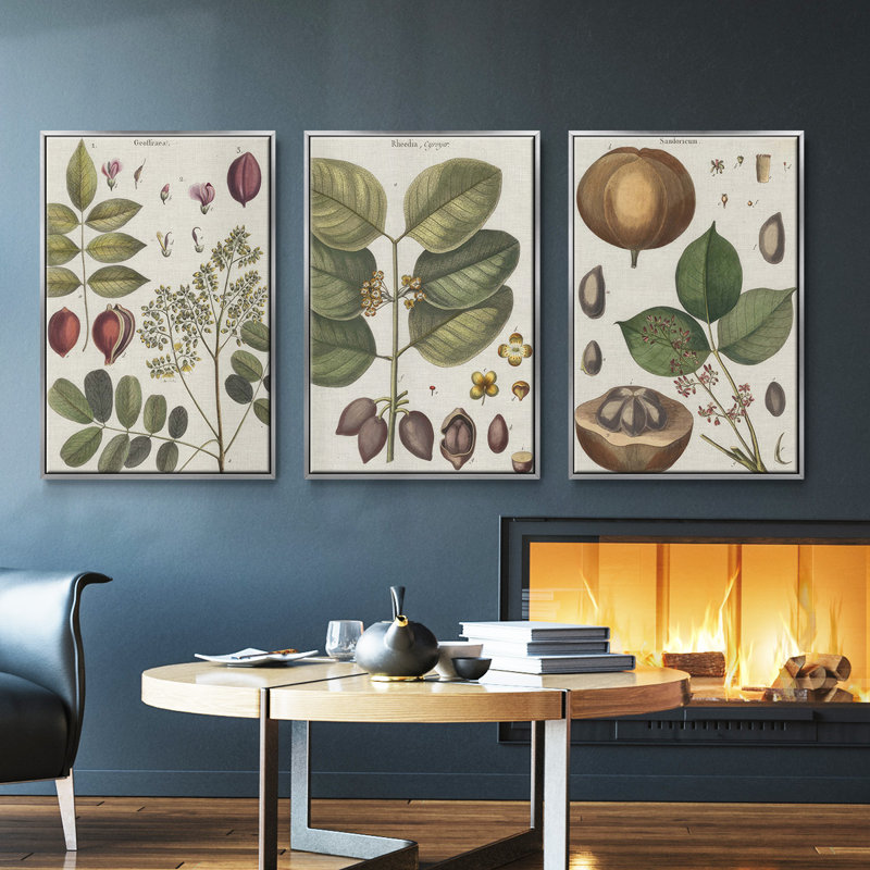 Ensemble de 3 cadres photo sur toile Antique Foliage and Fruit VI, Argent, H 40 po x l 78 po