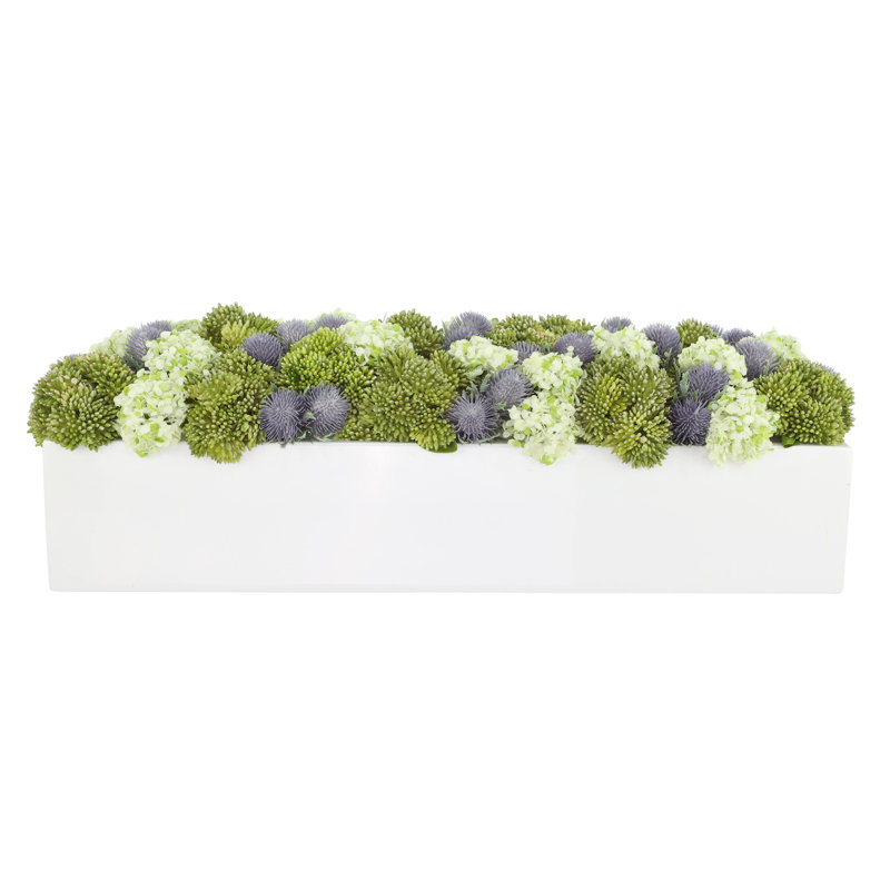 Sedum and Thistle Arranged in Rectangular Planter