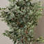 72'' Faux Tree in Wicker/Rattan Basket