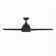 Lasalle 52'' Ceiling Fan with LED Lights