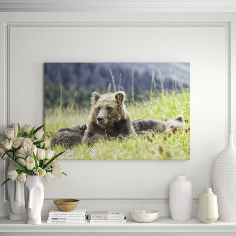 Nap Time Print by Wink Gaines, 30" H x 45" W