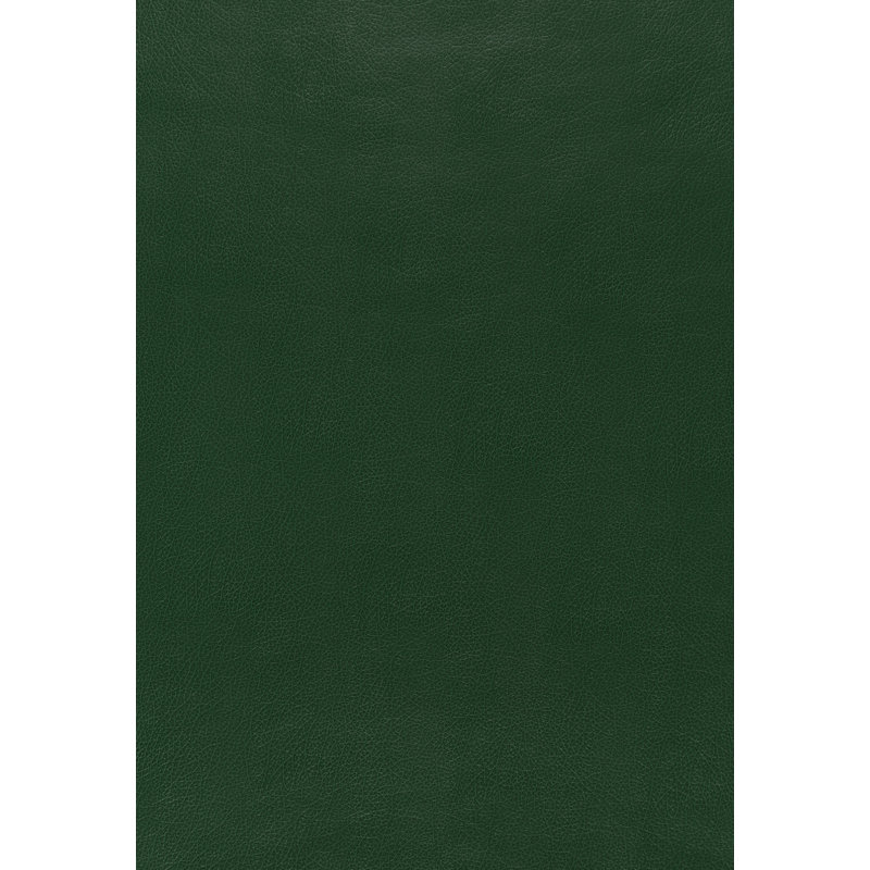 Canyon Leather Wallpaper, Hunter