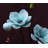 Décoration de fleurs simulées-1159538399